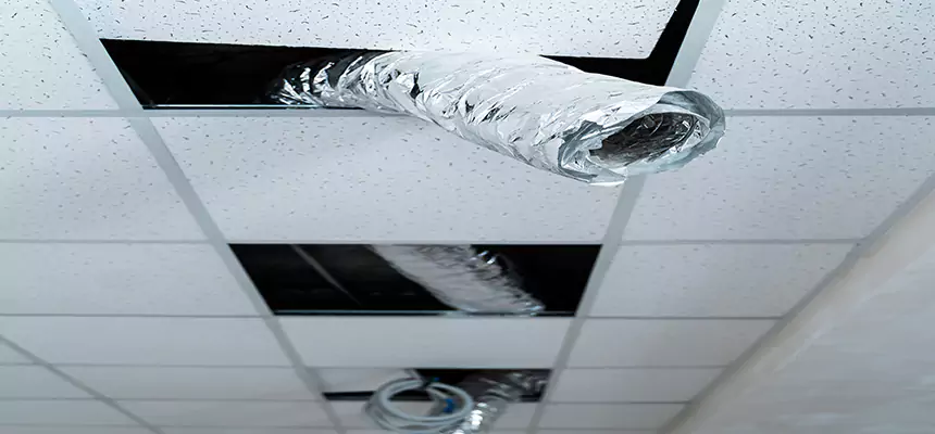 Our Air Duct Pet Hair Removal Services in Harker Heights, TX