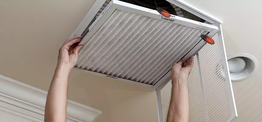 Our Insect Removal from Air Ducts Services in Harker Heights, TX
