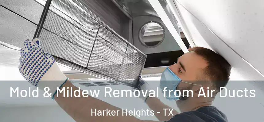  Mold & Mildew Removal from Air Ducts Harker Heights - TX
