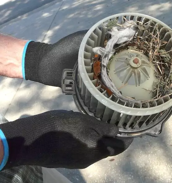 About Air Duct Mice Removal in Harker Heights, TX