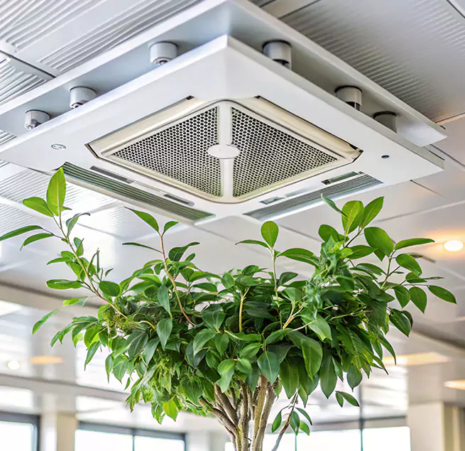 Why Homeowners & Businesses Trust Us in Harker Heights, TX